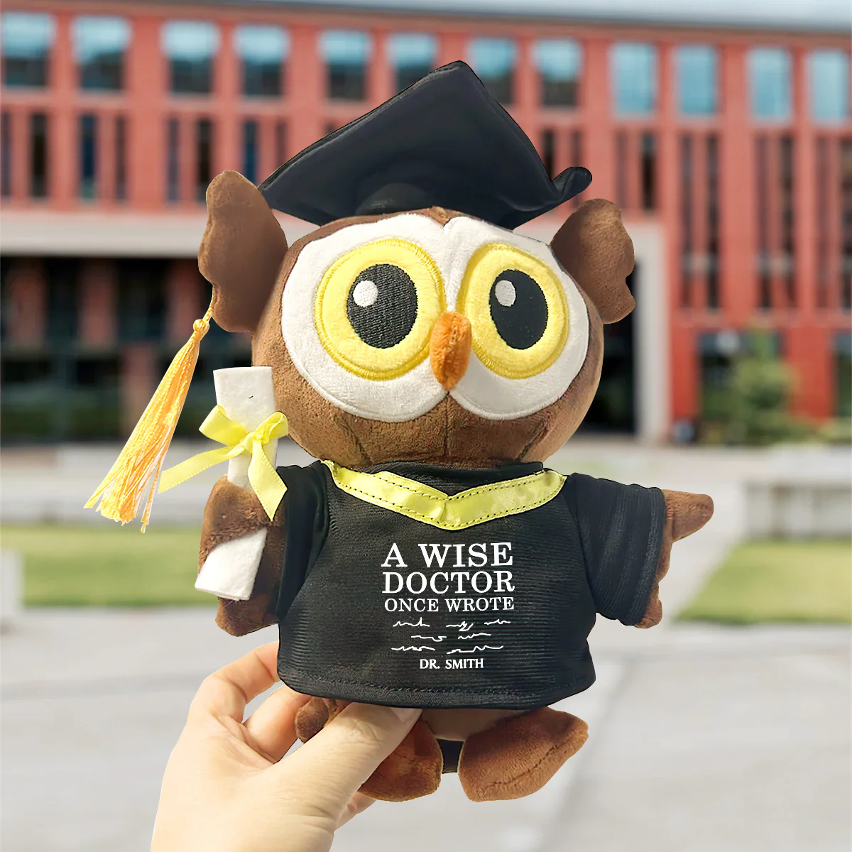 A Wise Doctor Once Wrote - Personalized Graduation Owl - Image 2
