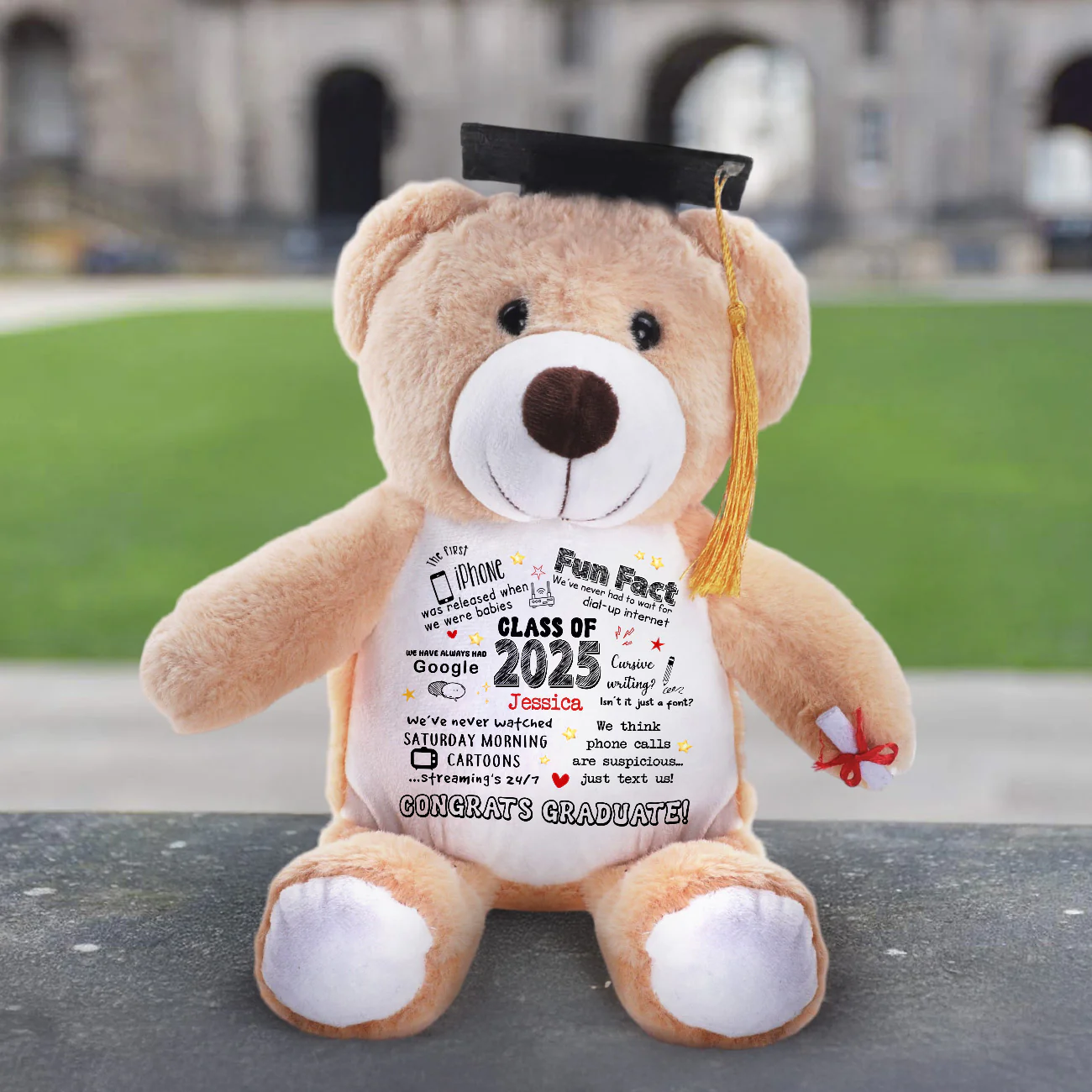 Class Of 2025 Fun Facts - Personalized Graduation Teddy Bear - Image 3