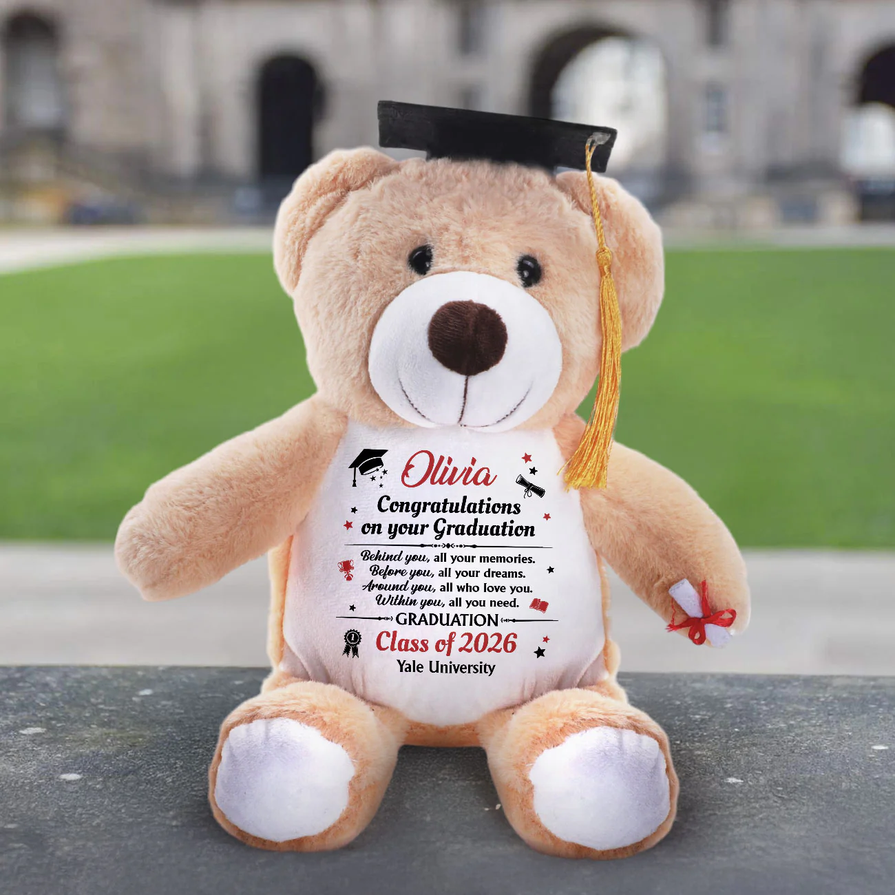 Congratulations On Your Graduation - Personalized Graduation Teddy Bear - Image 3