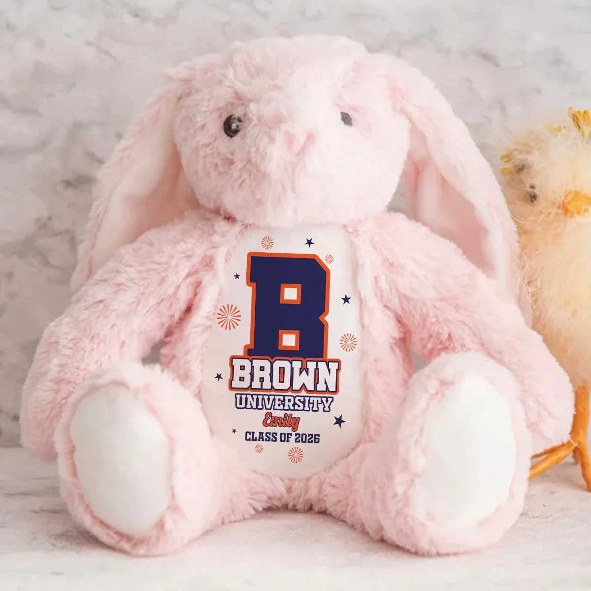 Custom Collegiate Keepsake - Personalized Stuffed Bunny - Image 7