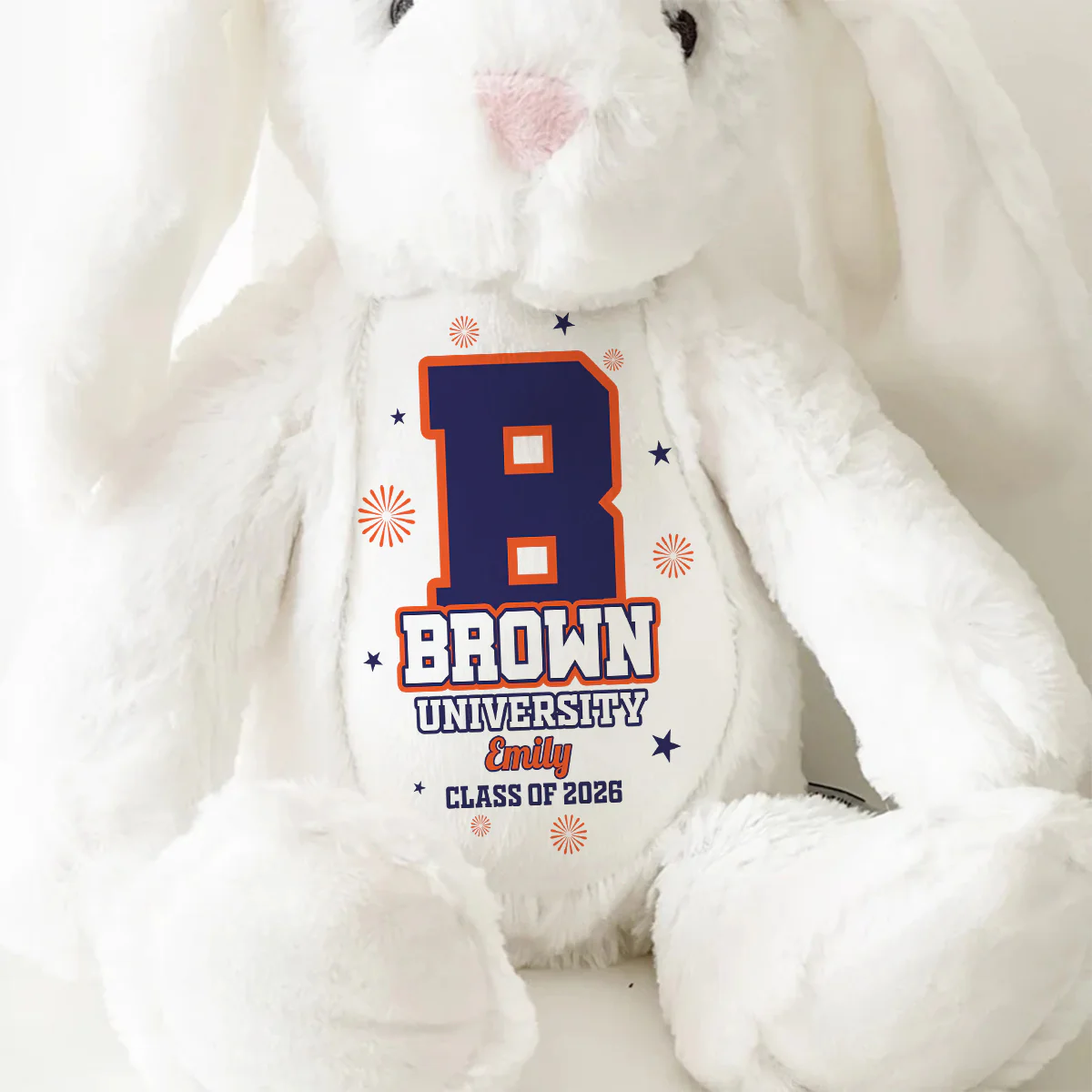 Custom Collegiate Keepsake - Personalized Stuffed Bunny - Image 9