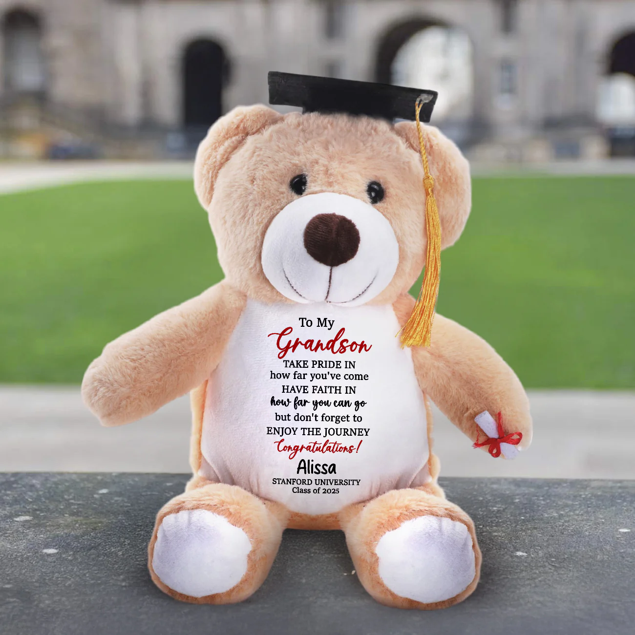 Don't Forget To Enjoy The Journey - Personalized Graduation Teddy Bear - Image 3