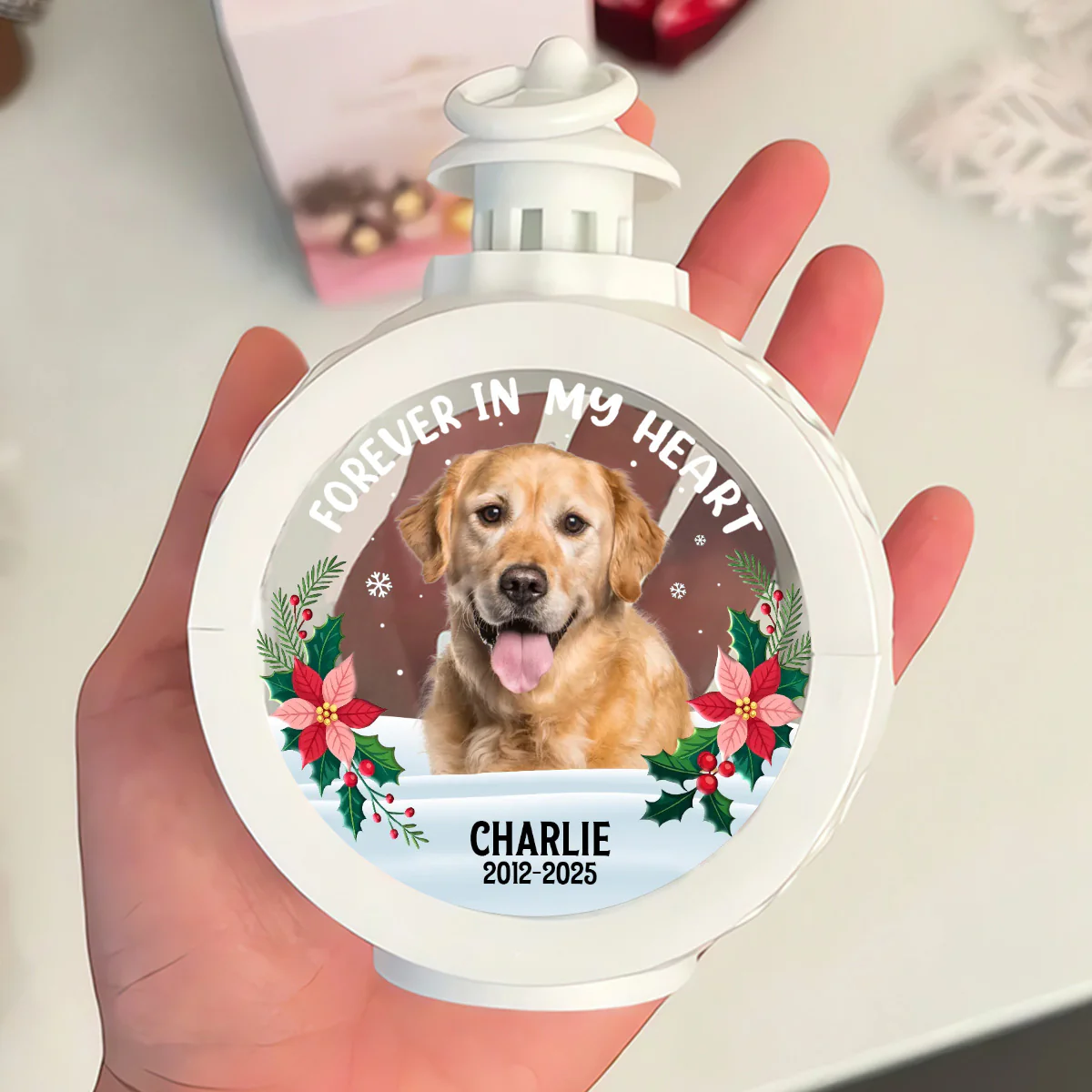 Forever In Our Hearts - Personalized Lantern Night Light - Image 4