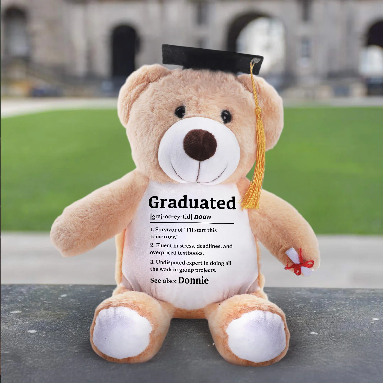 Graduated - Personalized Graduation Teddy Bear - Image 5