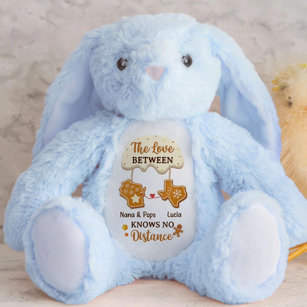 Grandma's Love Knows No Distance - Personalized Stuffed Bunny - Image 3