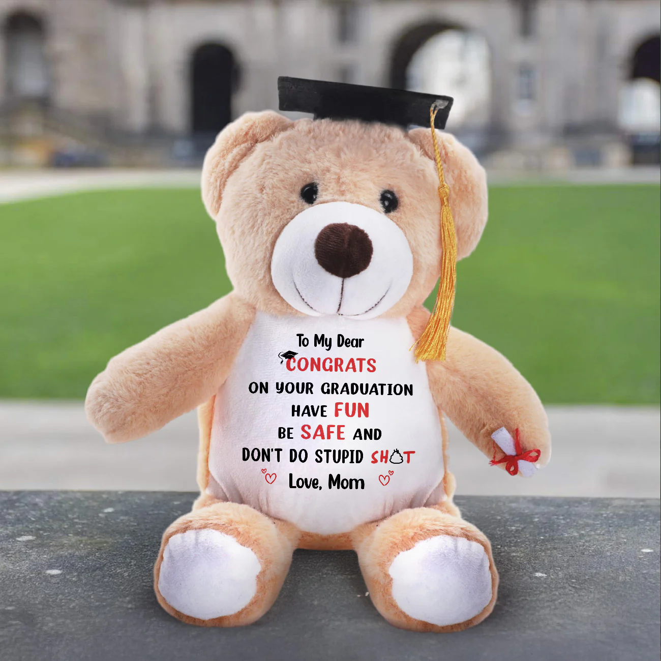 Have Fun Be Safe Don't Do Stupid Shit - Personalized Graduation Teddy Bear - Image 3