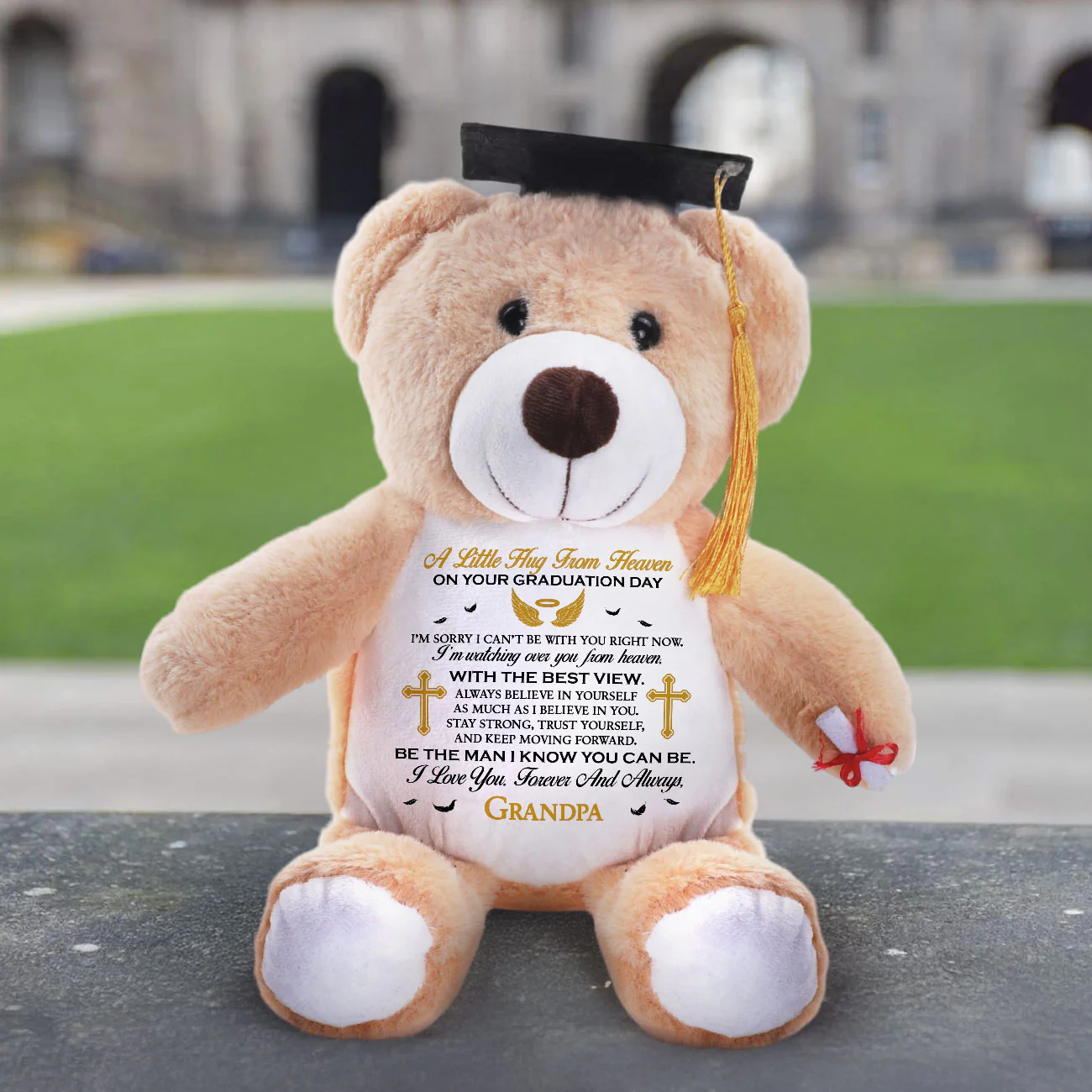 I'm Sorry I Won't Be There On Person - Personalized Graduation Teddy Bear - Image 3