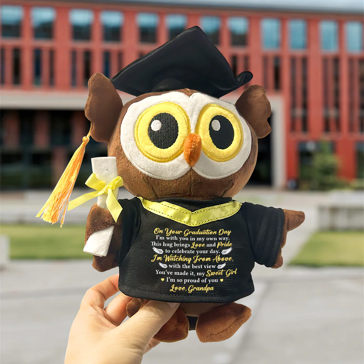 I'm Watching From Above With The Best View - Personalized Graduation Owl - Image 2