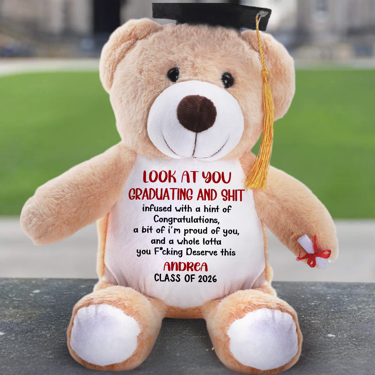 Look At You Graduating And Shit - Personalized Graduation Teddy Bear - Image 3