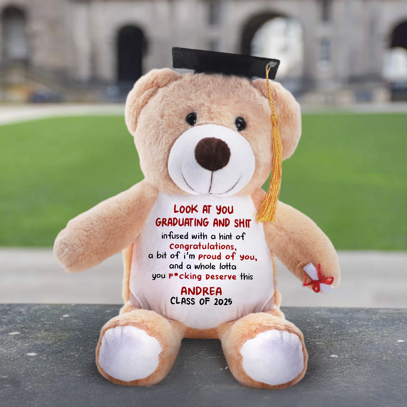 Look At You Graduating And Shit - Personalized Graduation Teddy Bear - Image 3