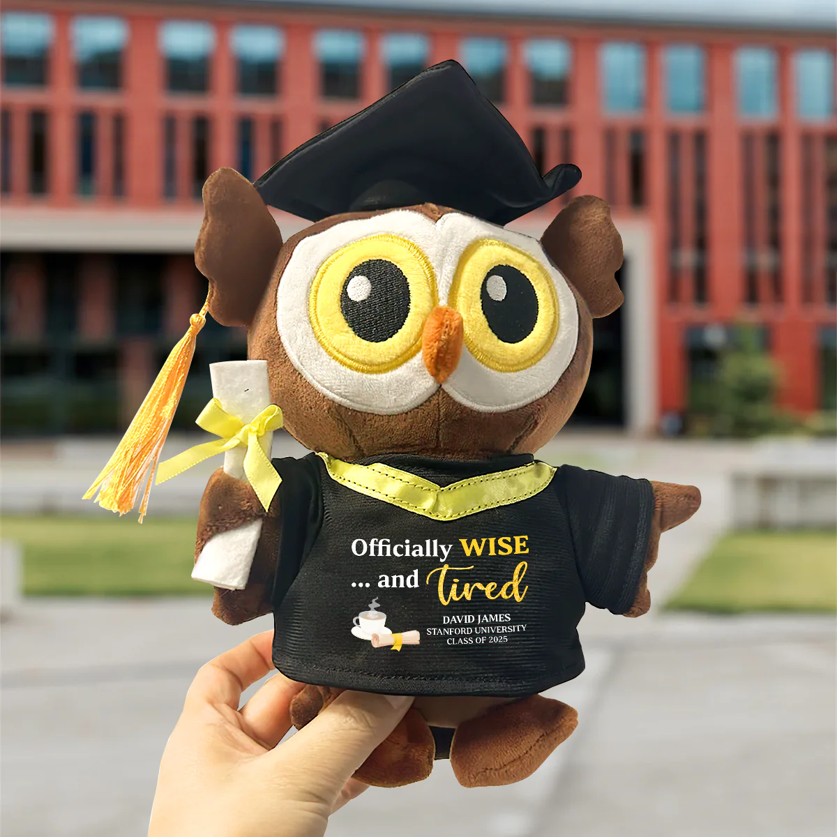 Officially Wise And…Tired  - Personalized Graduation Owl - Image 2
