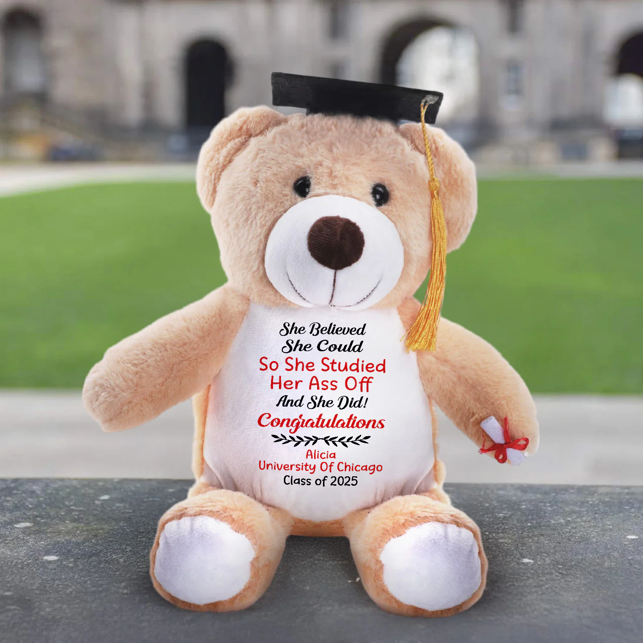 She Believed She Could So She Studied Her Ass Off - Personalized Graduation Teddy Bear - Image 3