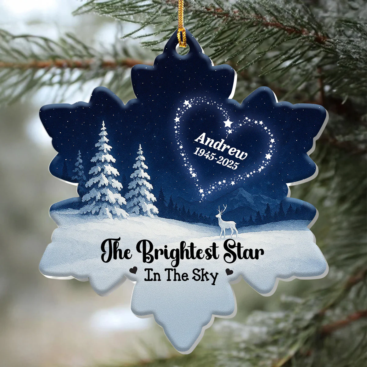 The Brightest Star On The Sky 2 - Personalized 1-Layer Acrylic Ornament