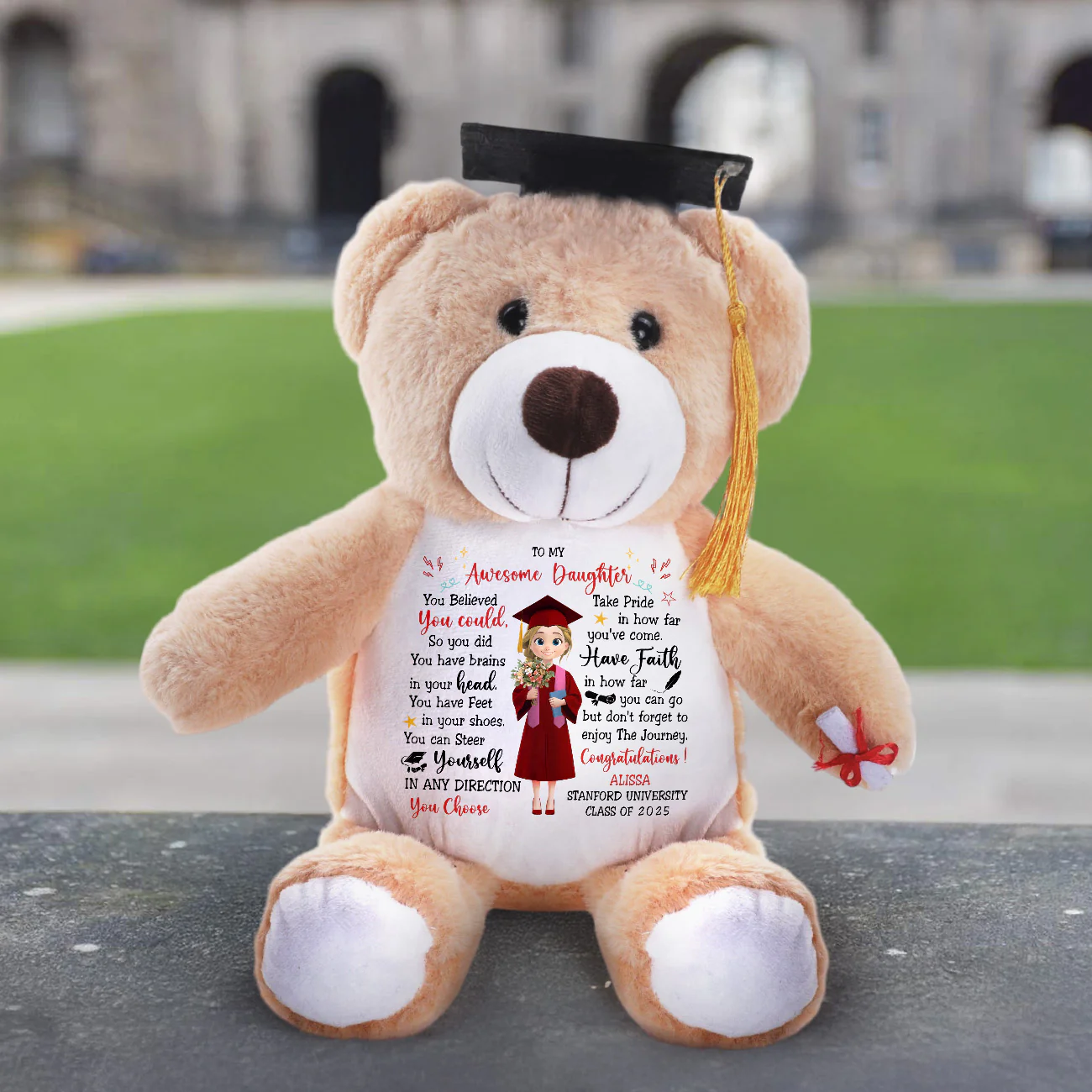 You Believed You Could So You Did - Personalized Graduation Teddy Bear - Image 3