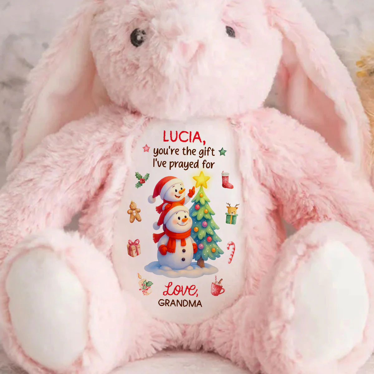You're The Gift I've Prayed For - Personalized Stuffed Bunny - Image 2